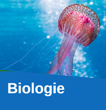 Pregătire - meditații Biologie