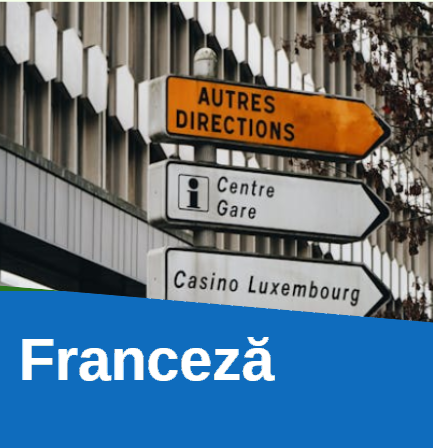 Pregătire - meditații Franceză